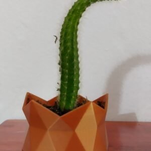 Hogar y decoración